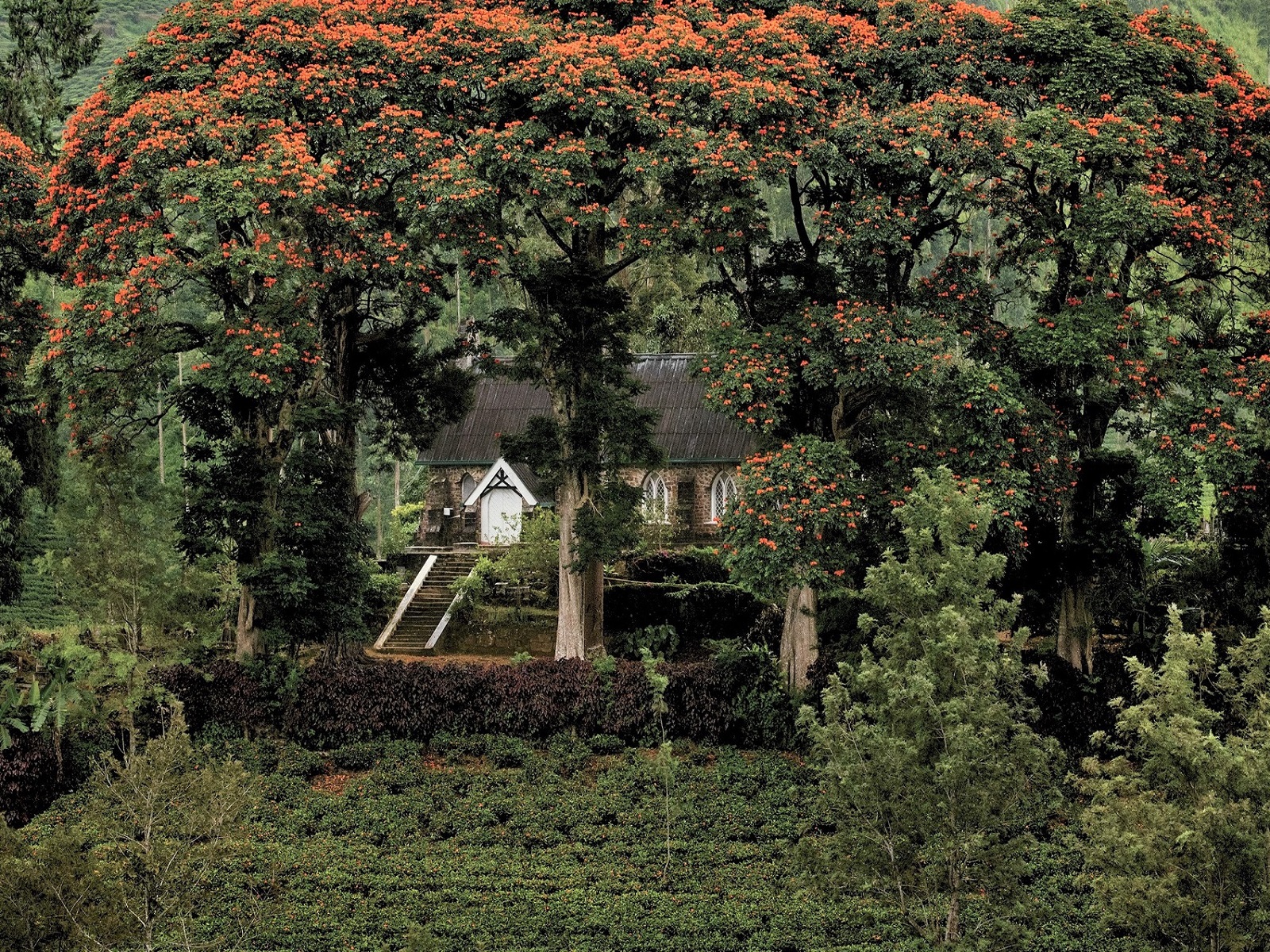 Photos from our Sri Lanka - Classic Cycling Holiday